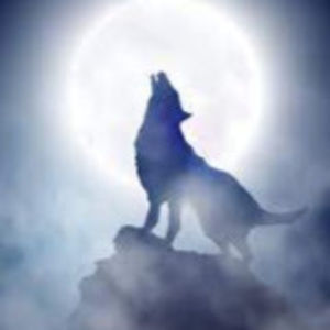 Meet your Posher, Writersvilla